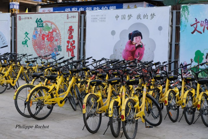 Pékin vélos g signé (Copier)