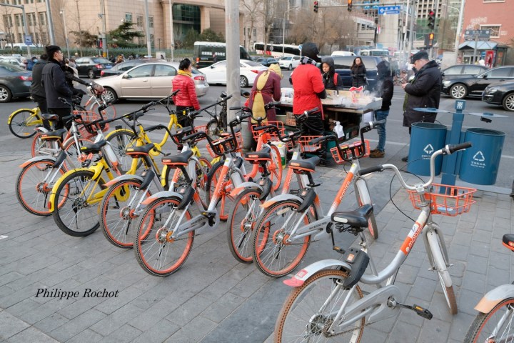 Pékin vélos h signé (Copier)