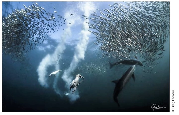 Greg Lecoeur Gacilly