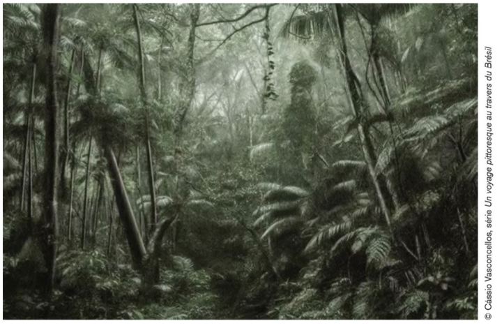 Vasconcellos voyage Brésil